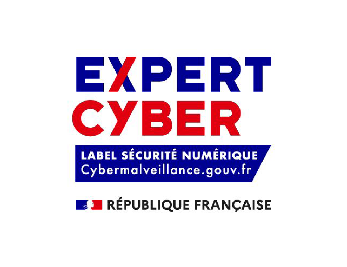 ExpertCyber